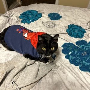 Meet your Posher, Ace